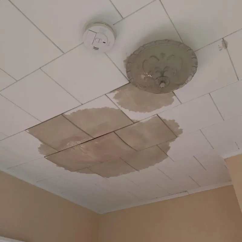 Ceiling Water Damage Repair in Stowe, PA