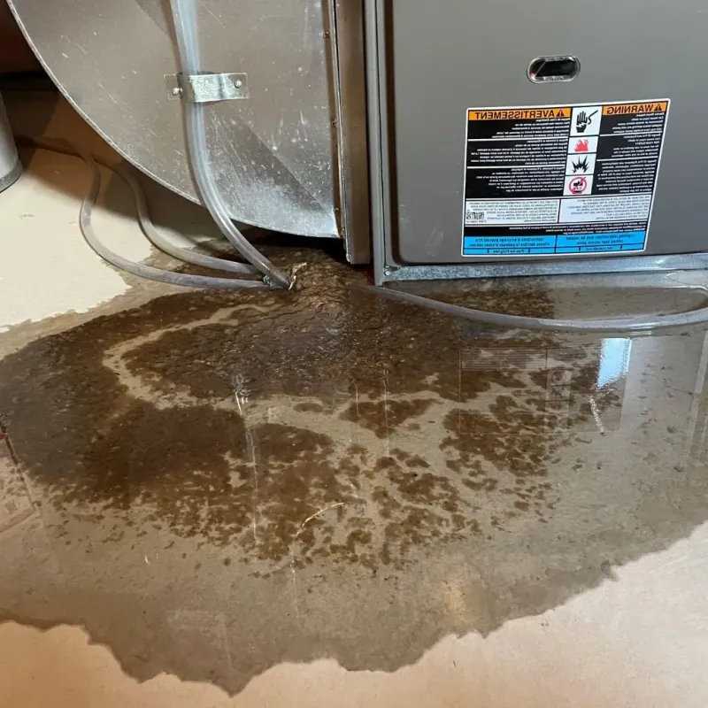 Pipe Burst and Leak Restoration in Stowe, PA