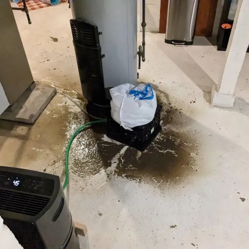 Sewage Backup Cleanup Service in Stowe, PA
